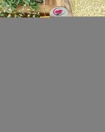 پیراهن خرگوشی - Image 7