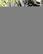 کت و شلوار جین میکی - Image 3