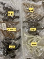 کلیپس مارپیچ - Image 7