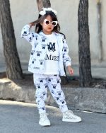 سه تیکه امیری