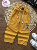 شلوار کبریتی دینو و شیر - Image 7