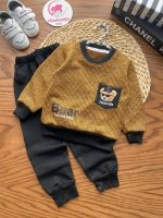 بلوز شلوار خرس عینکی - Image 6