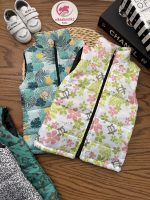 پافر اقتصادی