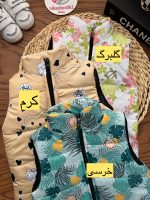 پافر اقتصادی - Image 13