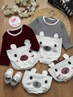 بادی خرس گوش دار