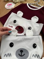 بادی خرس گوش دار - Image 5