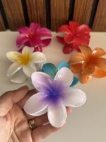 کلیپس پلومریا - Image 3