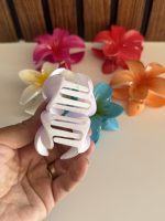 کلیپس پلومریا - Image 4