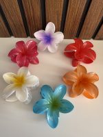 کلیپس پلومریا - Image 2