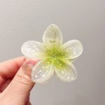 کلیپس پلومریا مینی - Image 7