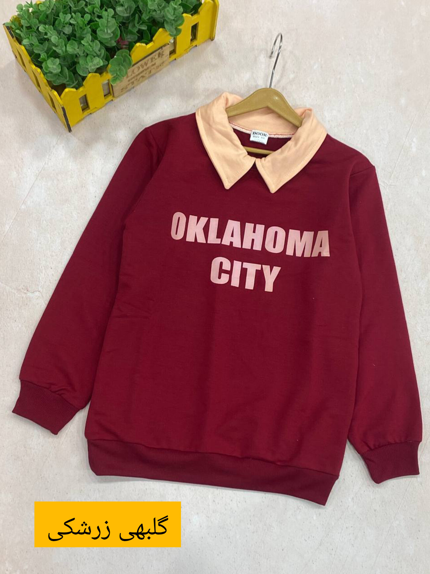 InShot_۲۰۲۵۱۲۰۶_۰۹۵۸۰۸۹۱۳ بلوز یقه دار (ایراددار) - Image 1