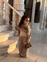 ست چیتا - Image 10