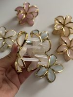 کلیپس پلومریا دور طلایی - Image 5