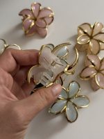 کلیپس پلومریا دور طلایی - Image 4