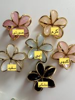 کلیپس پلومریا دور طلایی - Image 2