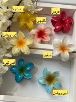 کلیپس پلومریا - Image 2